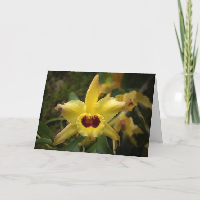 Carte De Remerciements Orchidée jaune (Devant)