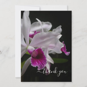Carte De Remerciements Orchidées laéliennes pourpres