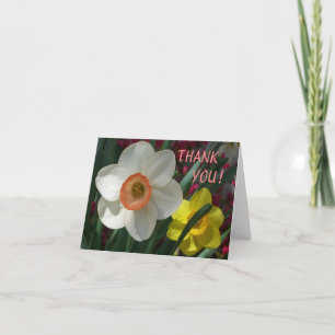 Carte De Remerciements Pair of Daffodils Pink and Yellow Spring Flowers