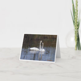 Carte De Remerciements Paire de cygnes ~ Oiseaux d'une plume