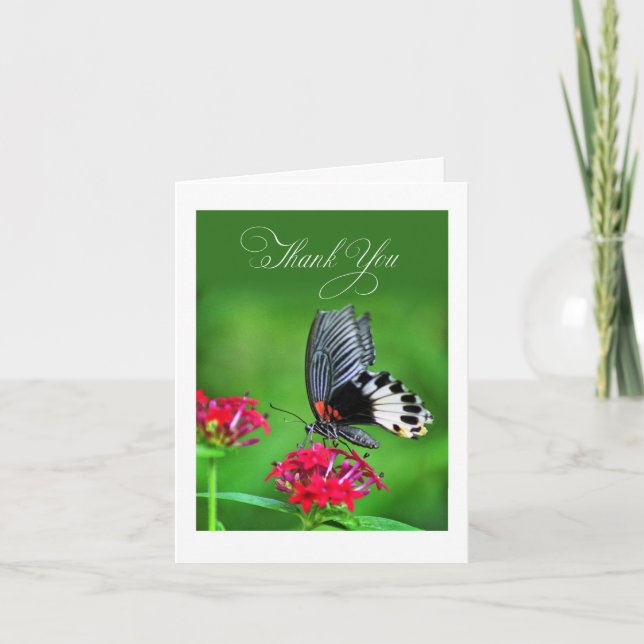 Carte De Remerciements Papillon du Grand Mormon en milieu floral (Devant)