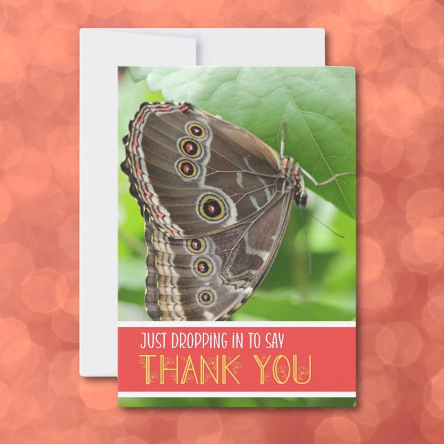 Carte De Remerciements Papillon tropical sur feuilles Nature Photographie (Créateur téléchargé)