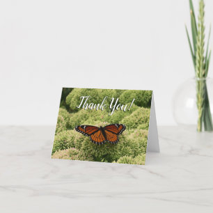 Carte De Remerciements Papillon Viceroy Belle photographie de la nature