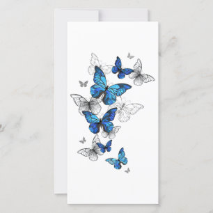 Carte De Remerciements Papillons volants bleus Morpho