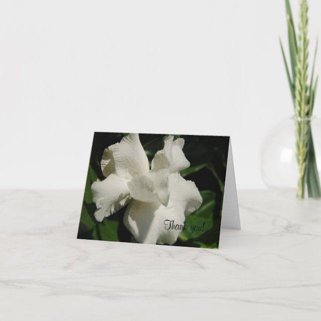 Carte De Remerciements Parfait Gardenia (Devant)