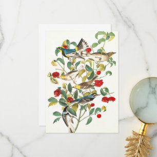 Carte De Remerciements Paruline par John James Audubon