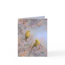 Parulines de printemps