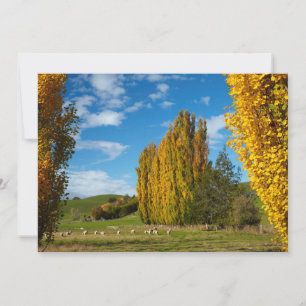 Carte De Remerciements Pâturage agricole avec moutons