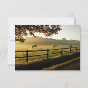 Carte De Remerciements Pâturage des chevaux au lever du soleil