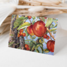 Pêche à l'aquarelle Récolte de fruits du verger