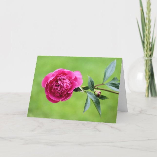 Carte De Remerciements Peine rose vif (Devant)