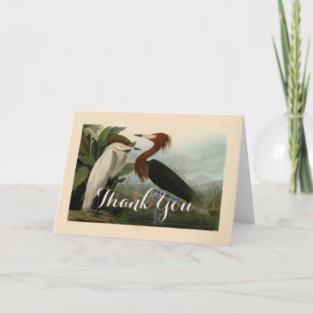 Carte De Remerciements Peinture de la faune d'Audubon Heron violet (Devant)