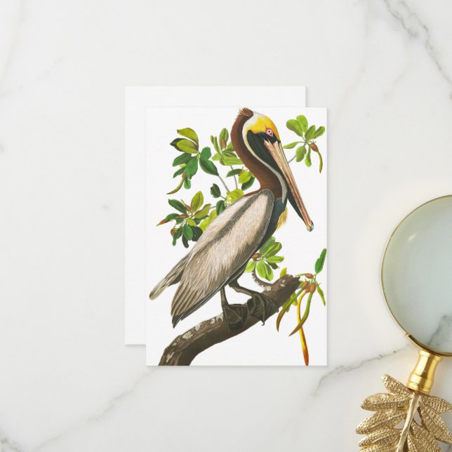 Carte De Remerciements Pélican Brown par John James Audubon (Devant/Arrière en situation)