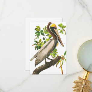 Carte De Remerciements Pélican Brown par John James Audubon