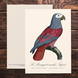 Carte De Remerciements Perroquet Gris du Congo Psittacus Erithacus Facteu