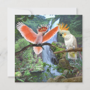CARTE DE REMERCIEMENTS PERROQUETS CACATOÈS AU PARADIS