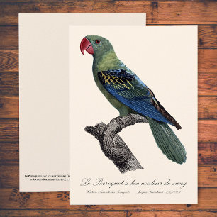 Carte De Remerciements Perruche à gros bec, Tanygnathus megalorynchos