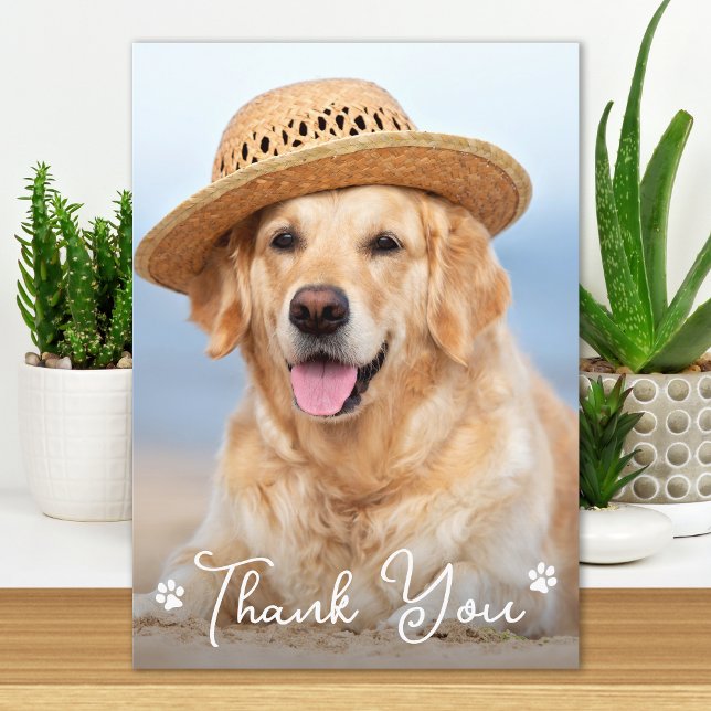 Carte De Remerciements Personnalisé Simple Chien Animal de compagnie Phot (Créateur téléchargé)