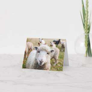 Carte de remerciements personnalisée Sheep