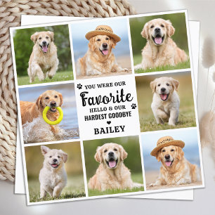 Carte De Remerciements Perte d'animal de compagnie personnalisé 8 photo D