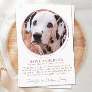 Carte De Remerciements Pet Chien Memorial Rose Gold Personnalisé Photo Sy