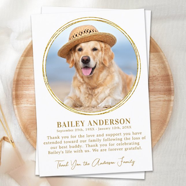 Carte De Remerciements Pet Memorial Elegant Or Personnalisé Sympathie pho (Créateur téléchargé)