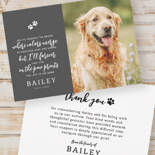 Carte De Remerciements Pet Memorial Modern Simple Chic Poème Photo