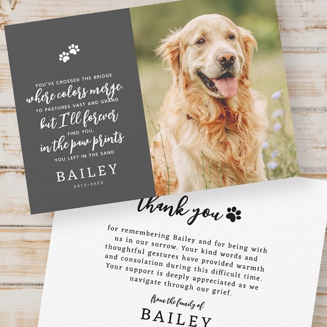 Carte De Remerciements Pet Memorial Modern Simple Chic Poème Photo (Créateur téléchargé)