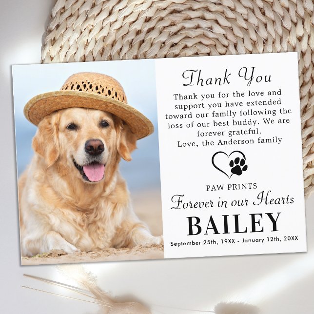 Carte De Remerciements Pet Memorial moderne photo Chien perte de sympathi (Créateur téléchargé)