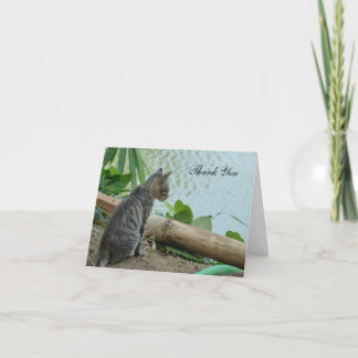 Carte de remerciements - Petit Kitten au bord de l
