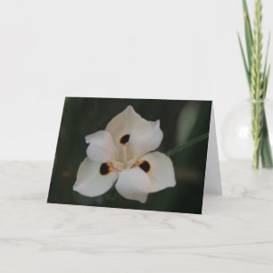 Carte De Remerciements petite fleur