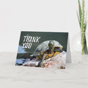 Carte de remerciements photo adorable Tortue