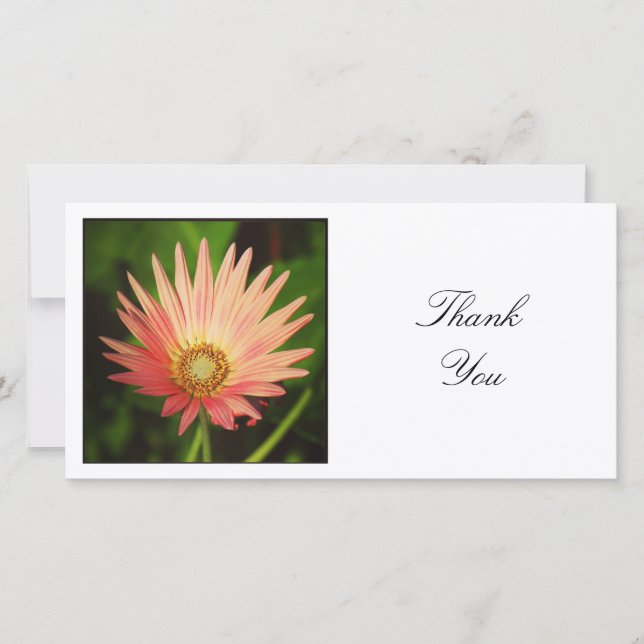 Carte De Remerciements Photo carré - African Daisy (Devant)