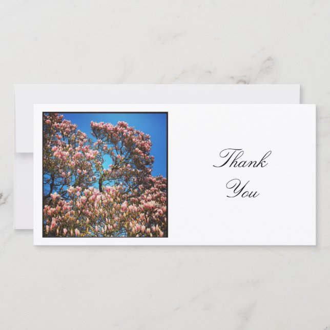 Carte De Remerciements Photo carré - Arbre Magnolia (Devant)