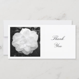 Carte De Remerciements Photo carré - Camellia blanche
