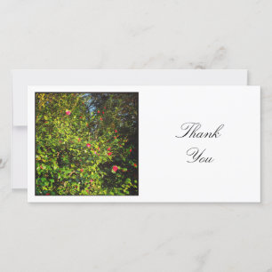 Carte De Remerciements Photo carré - Camellias