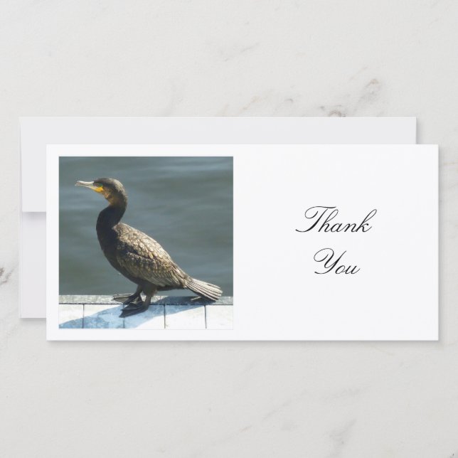 Carte De Remerciements Photo carré - Cormorant (Devant)