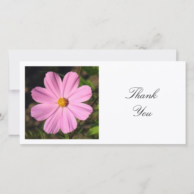 Carte De Remerciements Photo carré - Cosmos rose (Devant)