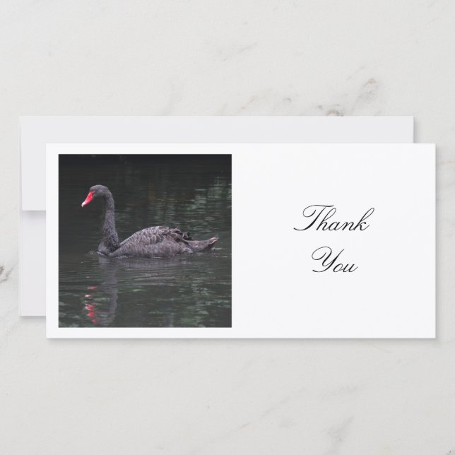Carte De Remerciements Photo carré - Cygne noir (Devant)
