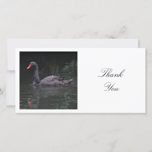 Carte De Remerciements Photo carré - Cygne noir