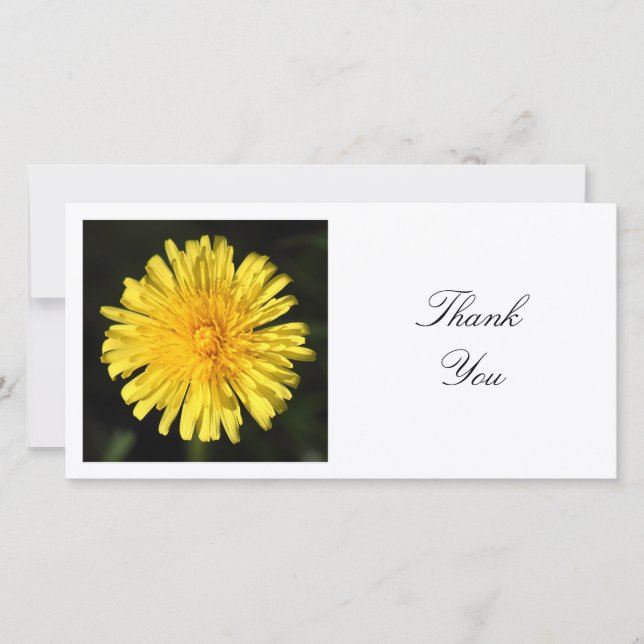 Carte De Remerciements Photo carré - Dandelion (Devant)