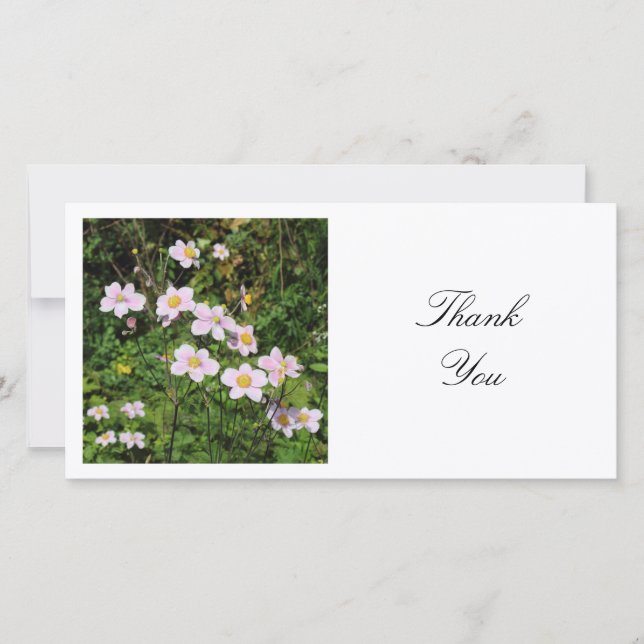 Carte De Remerciements Photo carré - Fleurs de Mallow (Devant)