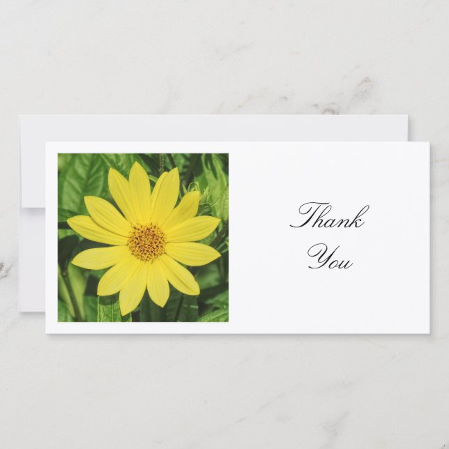 Carte De Remerciements Photo carré - Helianthus 'Lemon Queen' Tournesol (Devant)