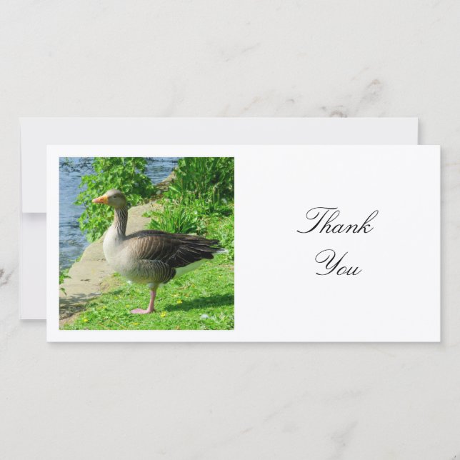 Carte De Remerciements Photo carré - Oie de Greylag (Devant)