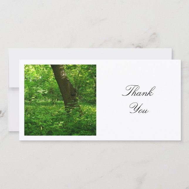 Carte De Remerciements Photo carré - Printemps dans les bois (Devant)