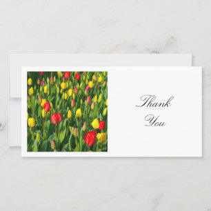Carte De Remerciements Photo carré - Tulipes colorées