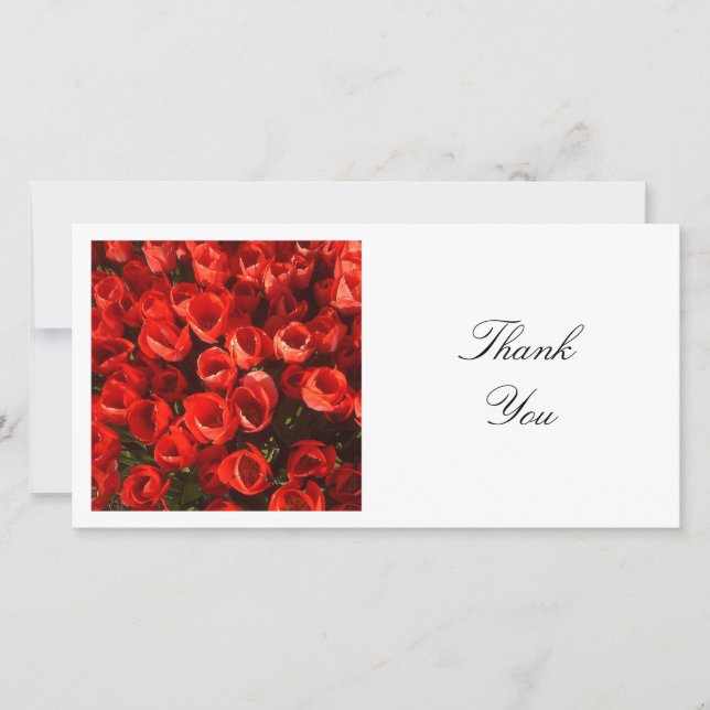 Carte De Remerciements Photo carré - Tulipes rouges (Devant)