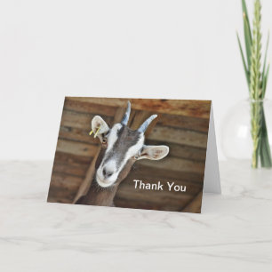 Carte De Remerciements Photo Cute Brown et White Goat