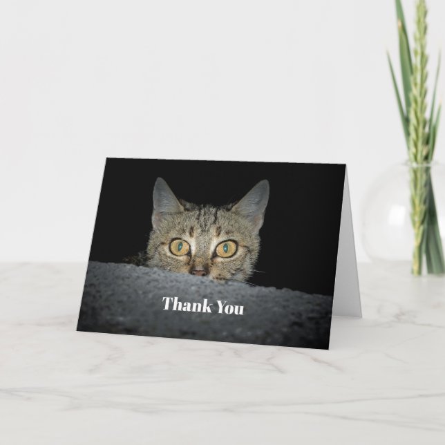 Carte De Remerciements Photo Cute Tabby Cat Pékin (Devant)