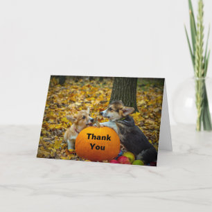 Carte De Remerciements Photo d'automne du Citrouille Corgi Dog